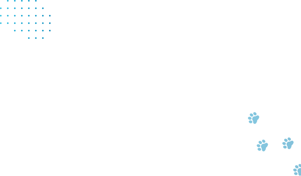 object